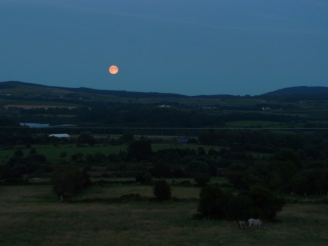 ９月９日　のぼってきたお月さん。