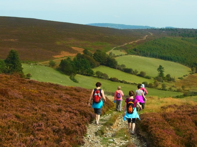 On commence à apercevoir le rocher 'Bread and Butter'. On me raconte que c'est un des 'points de repères naturels' pour les voyageurs à pied, dans le temps, qui venaient de l'ouest vers Dublin et qui s'arrêtaient là pour une petite pause. Mes copines me disent que leurs ancêtres Irlandais avaient l'habitude de TRICOTER tout en marchant... Mais COMMENT???!!!  
