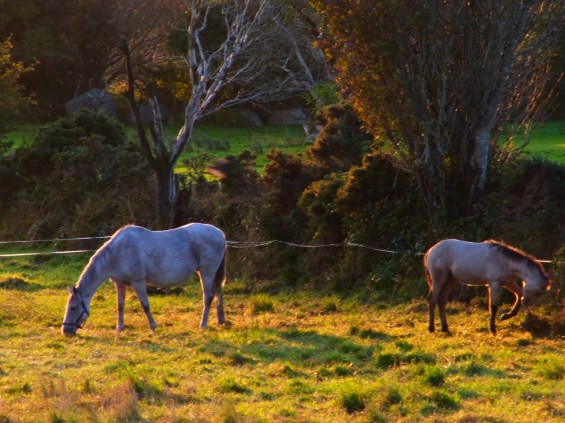 6 octobre  １０月６日