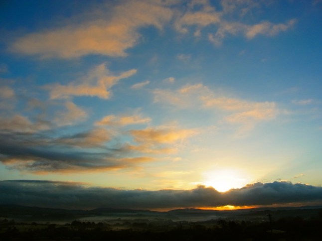 1120am0821　　　１１月２０日（木）わりあい過ごしやすい暖かい日でしたが、朝も霧、夕方も霧がもくもく出てましたよ。