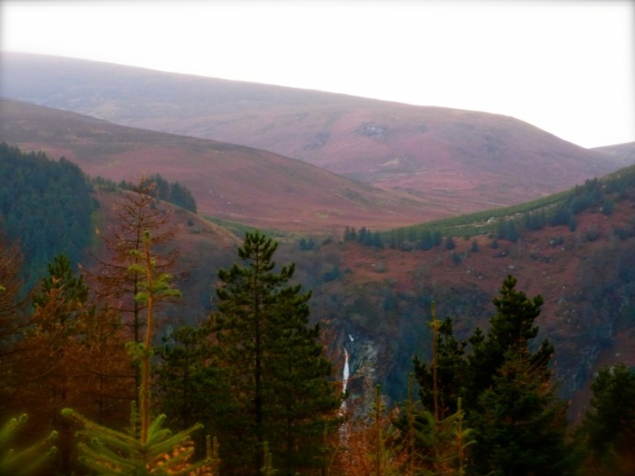 Sur la route qui descend vers Enniskerry, on a pu s'arrêter et voir le paysage. 山を降りる道の途中で、車をとめて散歩。谷の向こうのほうにパワースコートの滝が見えました。