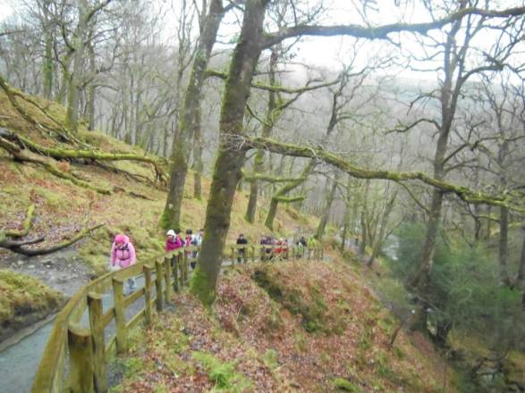 こちらは早足で先のほうに行ってるアンが撮ってくれた写真。