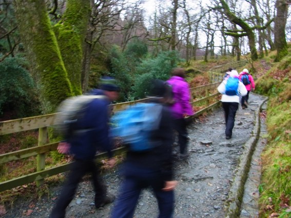 「上の湖」の横の谷川に沿って、どんどん登ります。この坂道が、けっこうきつい。いつものウオーキングのときは、ここを降りてくるのです。10時３９分。