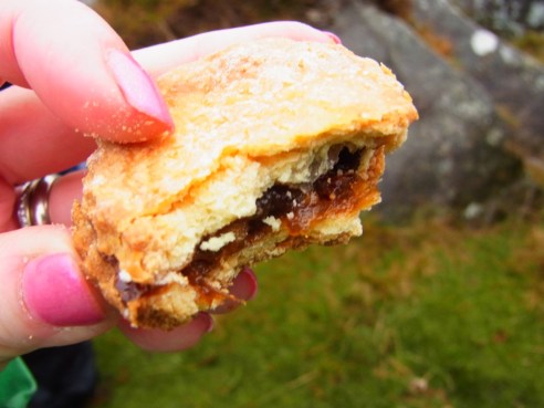 Anne's soup, Pam's mince pies, Pauline's Lemon Cake, Sachan's Chicken Pasties to share... but I was only one for rice ball!! パイとかスープとかケーキとか、みんな持ち寄って分けてくれるので、おなかがいっぱい。塩鮭のおにぎりも食べて、腹ごしらえ完了！また歩き始めました。