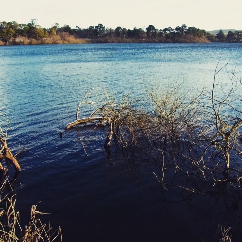 9h26 　９時２６分　　湖の水が青い！！