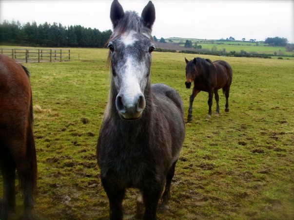 やあ〜はじめまして。