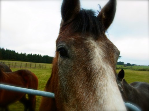 興味しんしん。誰かなー??