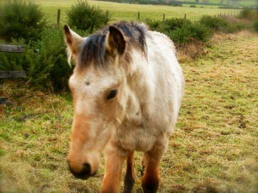 またね!! A très bientôt!!