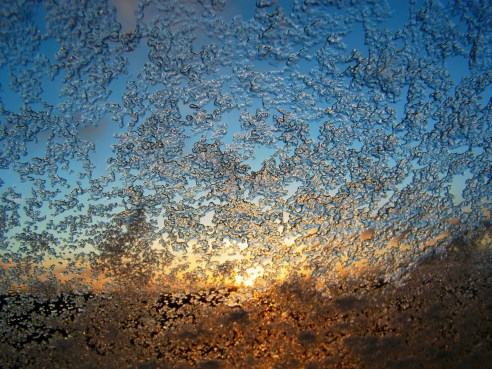 7h32 Frozen!! 朝７時３２分。昨日の朝よりも、さらに凍ってる！