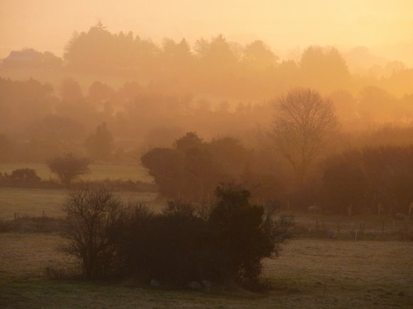 0209am0813　Un matin brûmeux. 