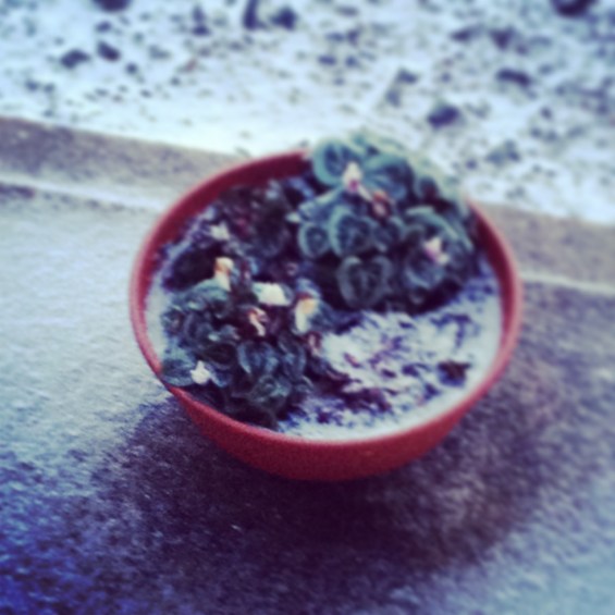 まだ寒いぞう。。。ぶるる