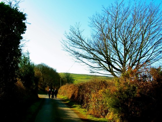 寒くても元気に歩くうちに、ぽかぽか。