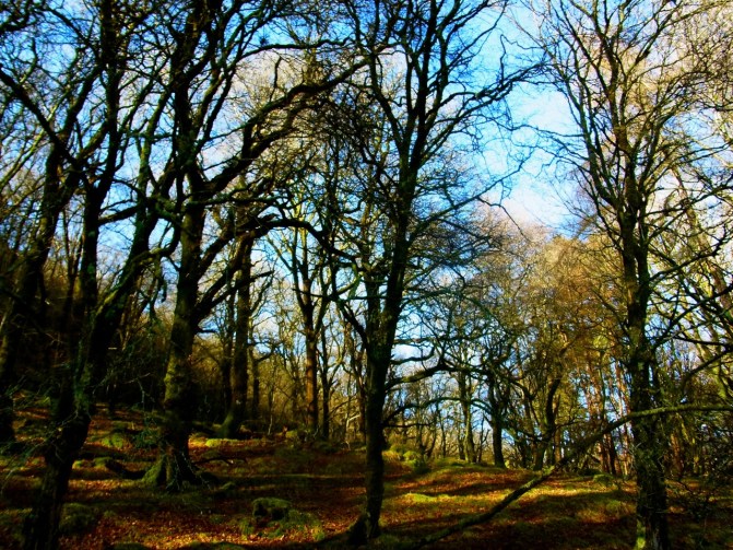 いつも寒く感じる谷間の道も、さわやか。