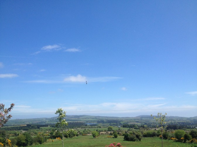 0523pm1336hirondelle