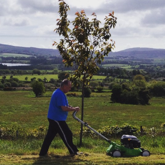 記念すべき「芝刈り機を使い始め」の記念写真。でも、ハッキリ言って、バーニーちゃんはこのとき一回しか　やらなかったよ！！！