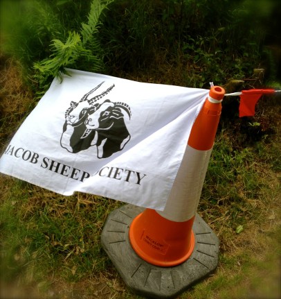 道沿いにこんな旗が出てました！　