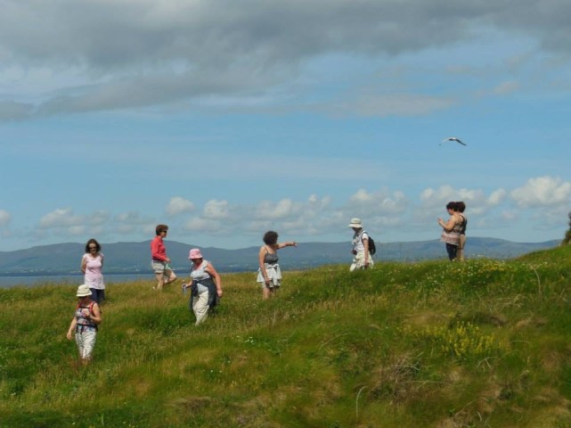 写真 2015-07-10 16 59 21