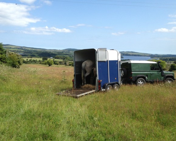 7月15日 ジョーさんが連れてきてくれました!!