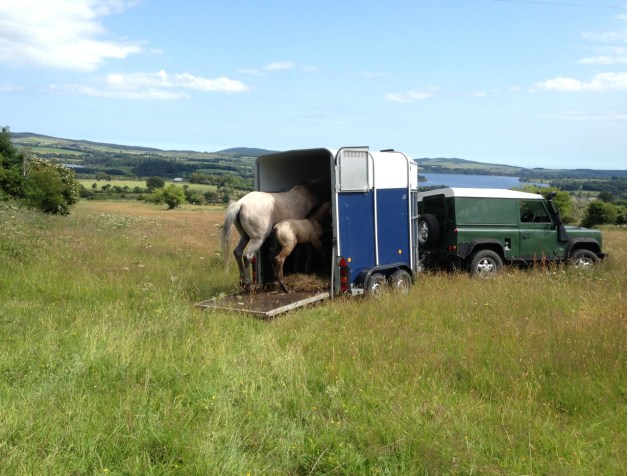 後ろ向きで出てきたと思ったら・・・
