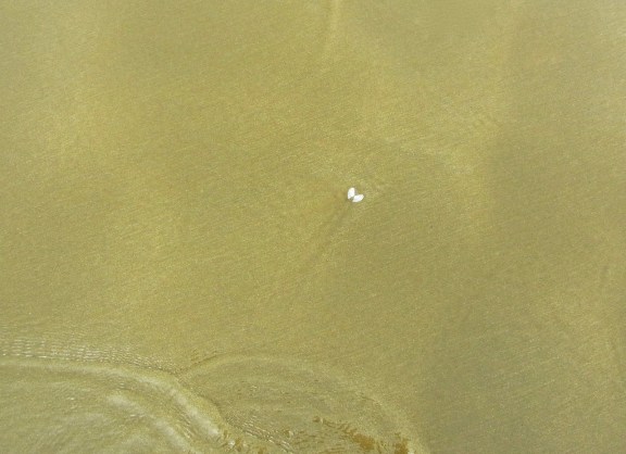 R0040857