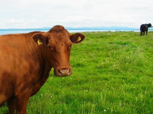 すごい至近距離！！　Soooo close!! 