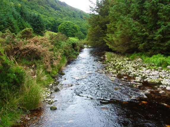 On a traversé une petite rivière et ensuite... 川を渡って・・・