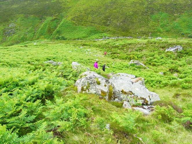 「じゃーしょうがないから、谷底へ降りて川を渡って向こう側へ行こうか」と、どんどん下って行ったけど。
