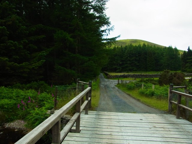 あそこの向こうの道をまっすぐ行けばよかったのでは・・・　また今度ね〜というわけで、「地元で迷子になってしまった大冒険」でした。 このへんをよく知っている郵便やさんのポールさんが助けに来てくれました。 On aurait dû continuer tout droit pour aller vers Loch Dan... 