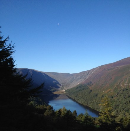 真っ青な空にお月さんが浮かんでいました。ほんとに良い天気!