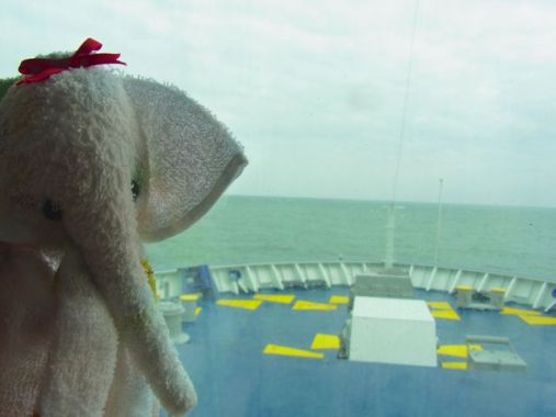 窓から舳先が見えるぞう。