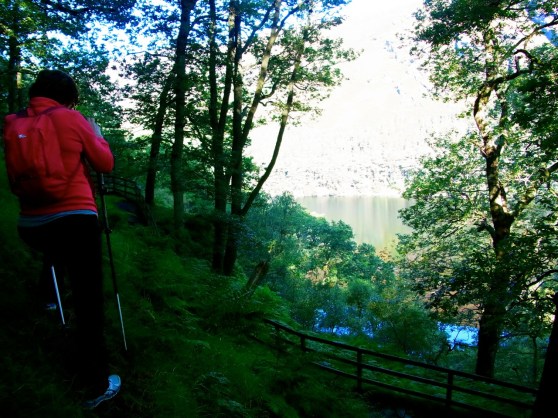 Anne the photographer!