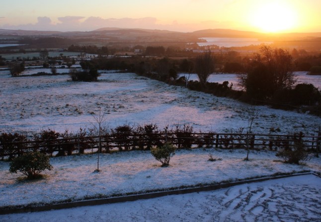 １月１５日の朝　ひゅうー寒いけど陽の光がとてもきれい！！