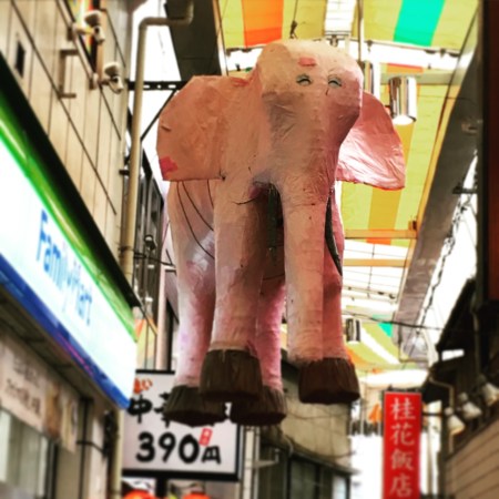 なぜか、ぞうさんが。。。