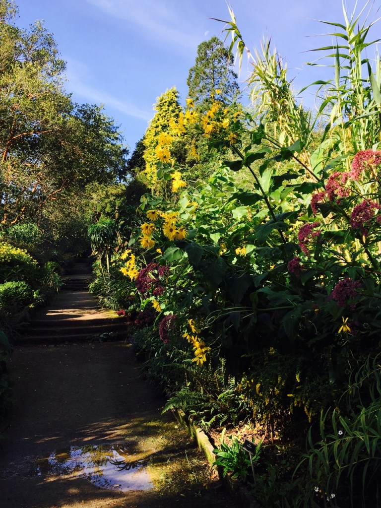 水たまりに青空が。Du ciel bleu dans la flaque d'eau