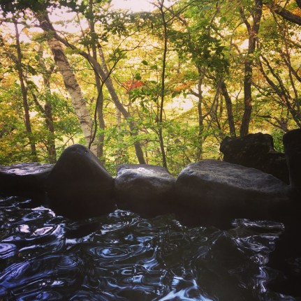 庭にある小さな温泉　une petite station thermale dans le parc de l'hôtel